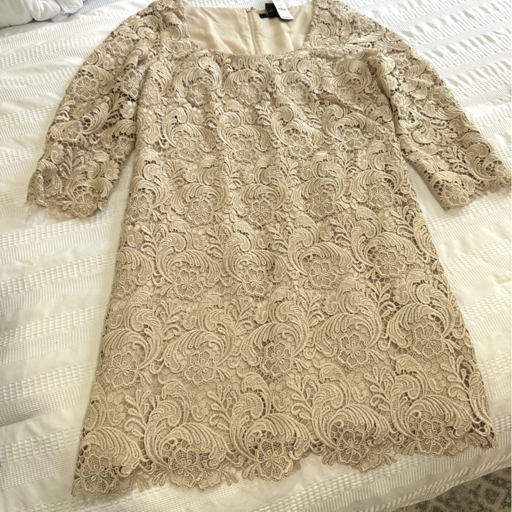 White House black market lace dress
